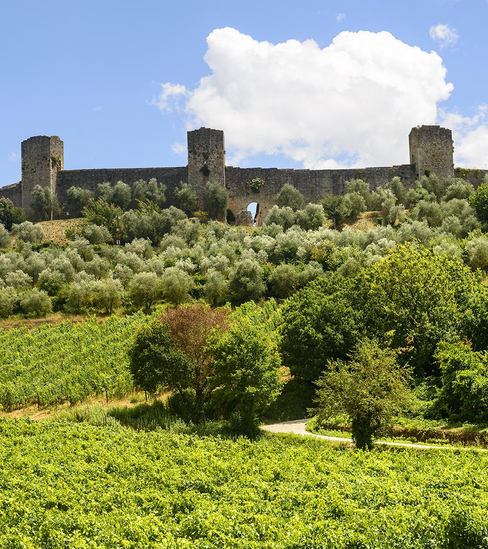 Discover il Borgo