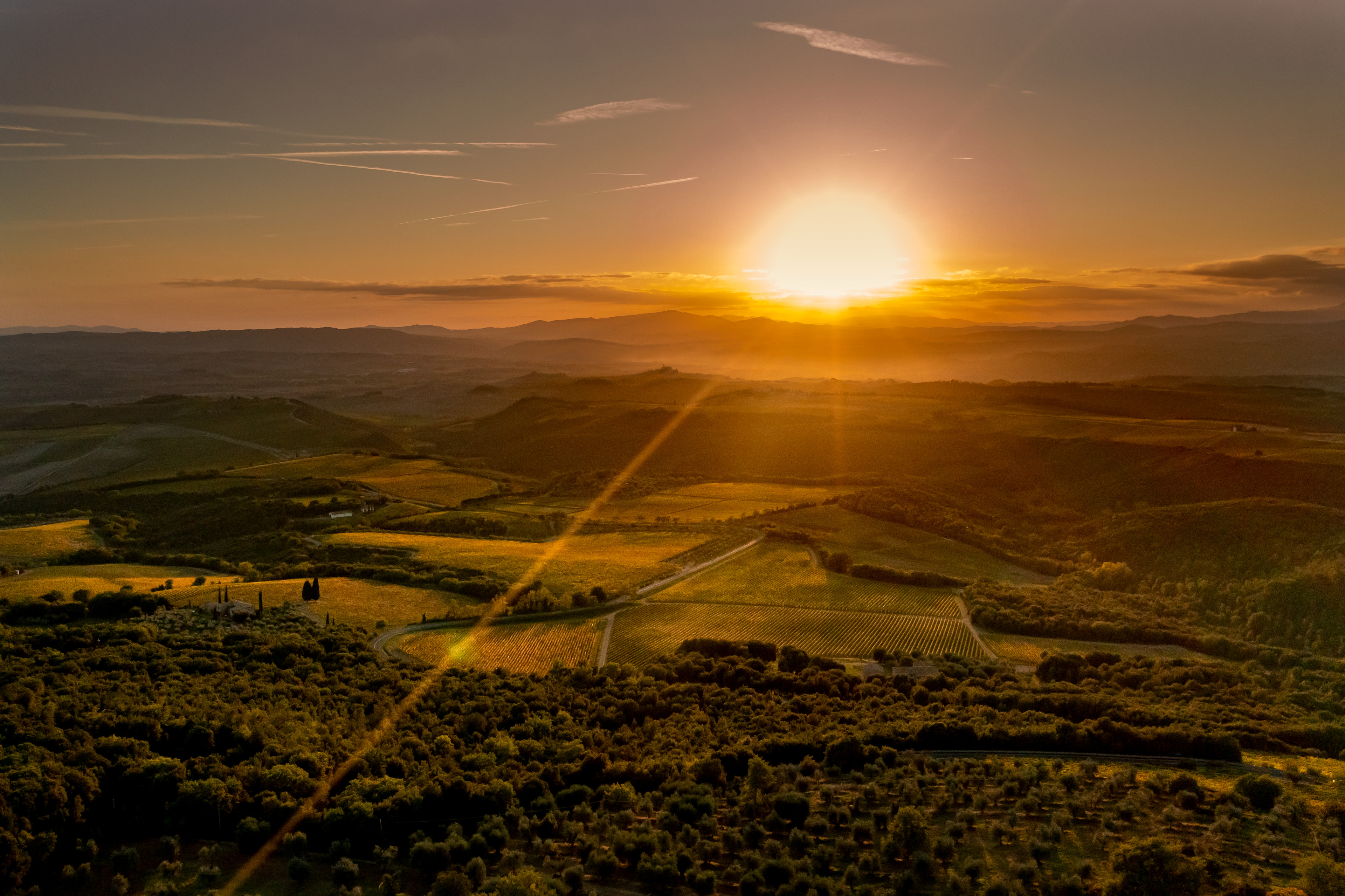 banfi toscana